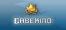 Caseking Online Shop